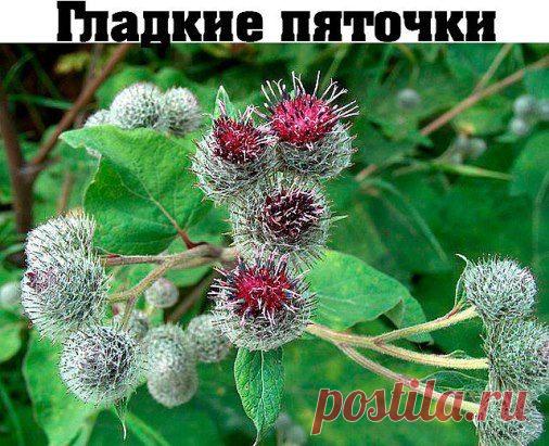 гладкие пяточки