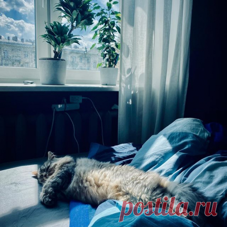 Photo by Илья Красильщик in Moscow, Russia.