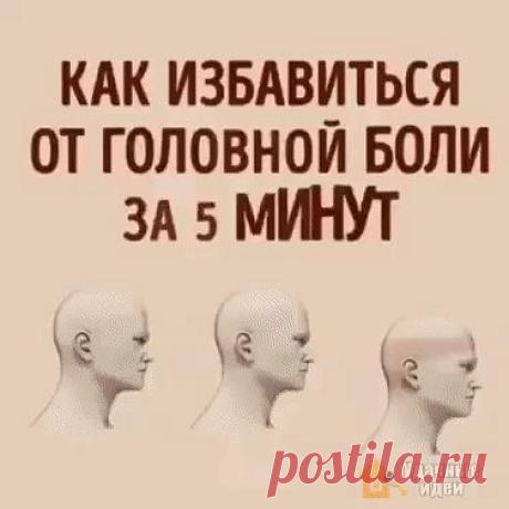 (41) Одноклассники