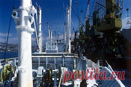 Судно с пассажирами потеряло ход по пути на остров Попова. В Приморье второе за последние дни судно потеряло ход по пути из Владивостока на остров Попова. В воскресенье, 26 декабря, баржу с пассажирами, которая так же застряла по пути на остров Попова, отбуксировали в столицу Приморья. Она села на мель в районе острова Клыкова из-за поломки винта.