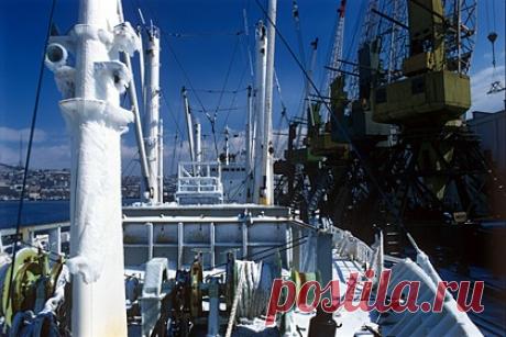 Судно с пассажирами потеряло ход по пути на остров Попова. В Приморье второе за последние дни судно потеряло ход по пути из Владивостока на остров Попова. В воскресенье, 26 декабря, баржу с пассажирами, которая так же застряла по пути на остров Попова, отбуксировали в столицу Приморья. Она села на мель в районе острова Клыкова из-за поломки винта.