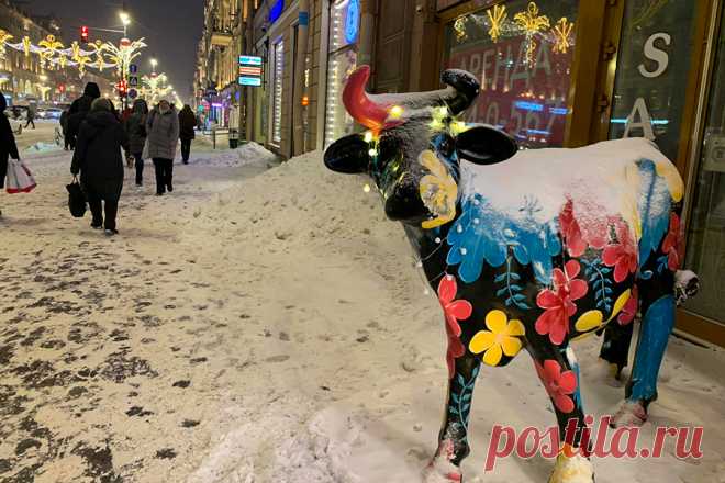 Власти Петербурга заявили о нехватке 19 тыс. дворников для уборки снега. Санкт-Петербургу требуется 19 тыс. дворников для решения проблем с уборкой города, заявил председатель жилищного комитета Олег Зотов.