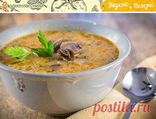 Летний суп с кабачками и грибами.
