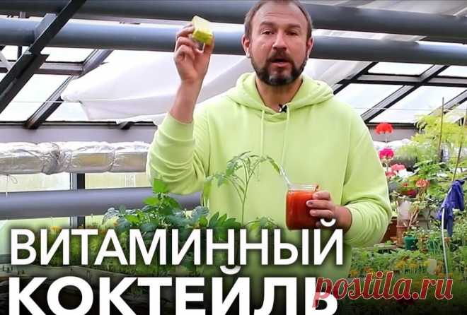 Рецепт для крепкой рассады: томаты и огурцы вмиг пойдут в рост от этого витаминного коктейля! Розовый раствор. | Иван Русских | Дзен