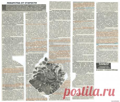 Лекарства от старости. Интервью Тамары Свищевой.