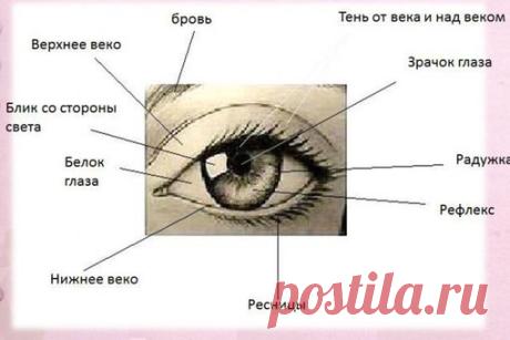 Рисуем глазки