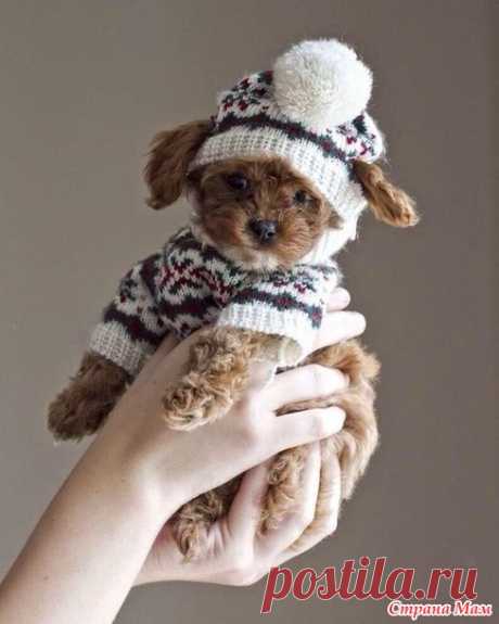 Мелочь в жаккарде