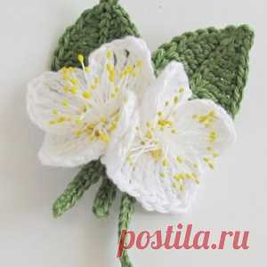 Цветы жасмина крючком. - МирТесен