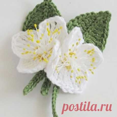 Цветы жасмина крючком. - МирТесен