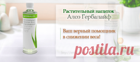 Алоэ Гербал | Как правильно похудеть в домашних условиях, Гербал