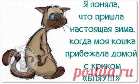 Новогодние фразочки со смыслом :) | Сайт Союза Юмористов