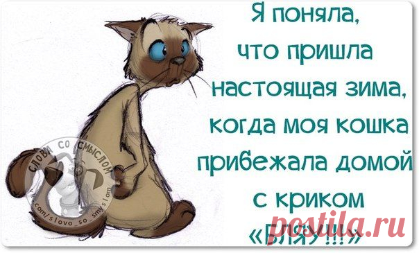 Новогодние фразочки со смыслом :) | Сайт Союза Юмористов