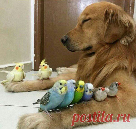 Медитация
