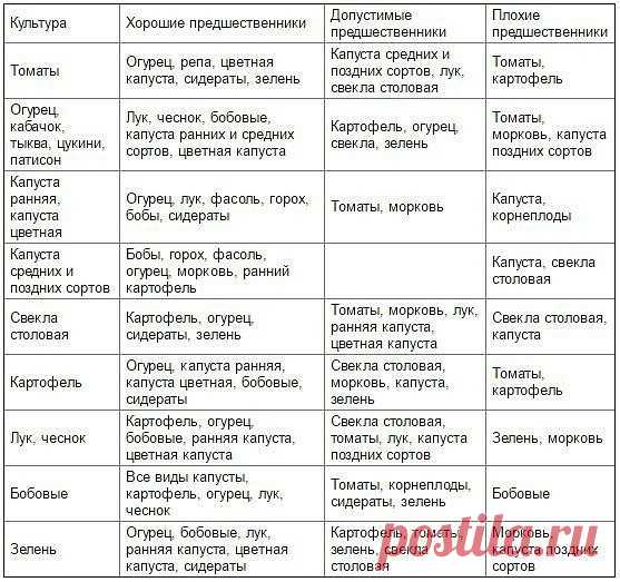 Таблица чередования посевов овощей в огороде 
 
Из севооборота овощей можно извлечь выгоду. Это и защита растений от вредителей и болезней, и сохранение плодородия почвы. Но недостаточно просто менять овощи местами от сезона к сезону, нужно учитывать, какие предшественники наиболее полезны для каждой овощной культуры. 
 
При севообороте соблюдаем правило: не сеять одну и ту же культуру второй год на старое место. Это относится и к представителям одного и того же семейства ...