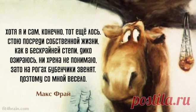 25 оптимистичных цитат Макса Фрая