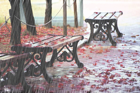 Decent Image Scraps: Rainy Season