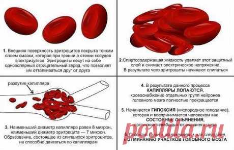 Принцип действия спирта на эритроциты