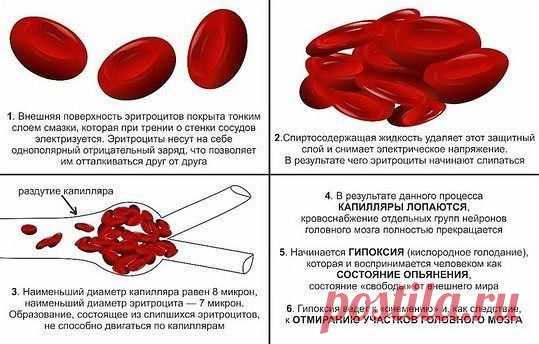 Принцип действия спирта на эритроциты
