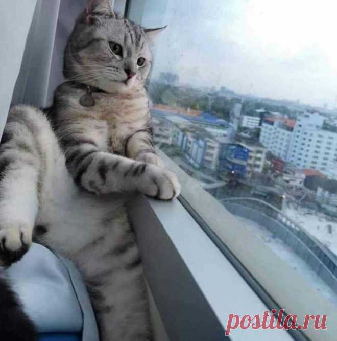 (6) Мой Мир@Mail.Ru