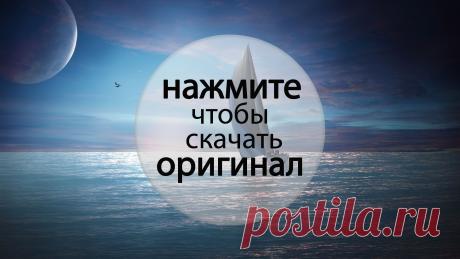 0204141504_1064298724.jpg (1920×1080)