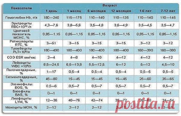 Популярные записи по теме «дети»