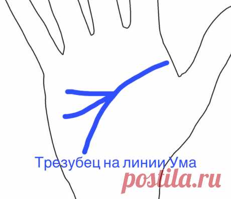 Хиромантия. Трезубец на линии Ума. | Виктория Кутукова | Яндекс Дзен