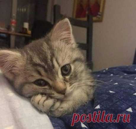Так выглядит любов)))