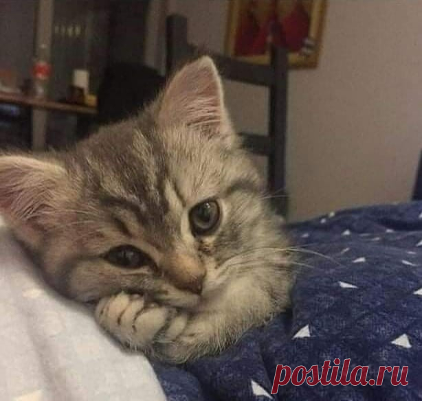 Так выглядит любов)))