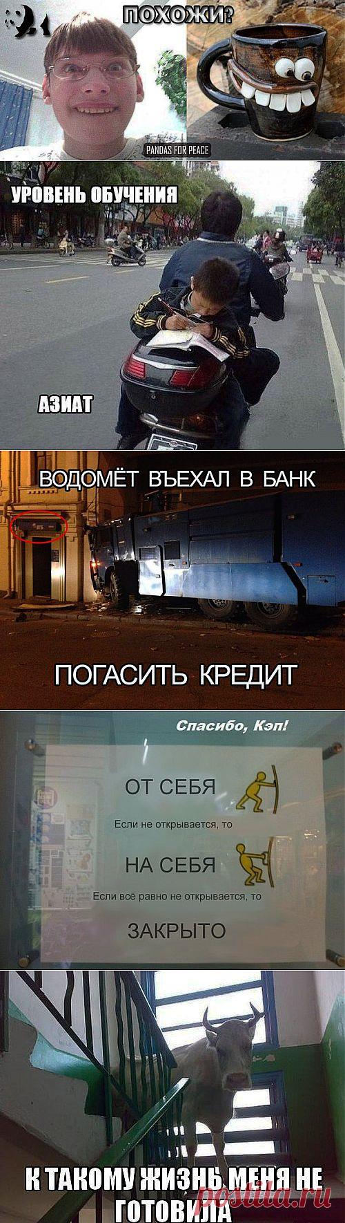 (+1) тема - Прикольные картинки поднимут настроение))) | ОБОРЖАКА ;)