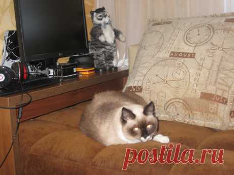 Рисунки и животные - 42 фото. Фотографии Татьяна Мошкова.