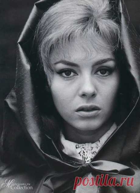 Невероятно красивая женщина, идеал женской красоты и обаяния, смотришь на нее, как на прекрасный цветок и не можешь насмотреться.

Мишель Мерсье по праву входит в десятку самых красивых женщин всех времен и народов. Сколько бы не было прекраснейших девушек в мире, таких как Мишель Мерсье больше не существует. Идеал красоты, несмотря на то, что вкусы меняются, но этот идеал остается на самом высочайшем пьедестале.