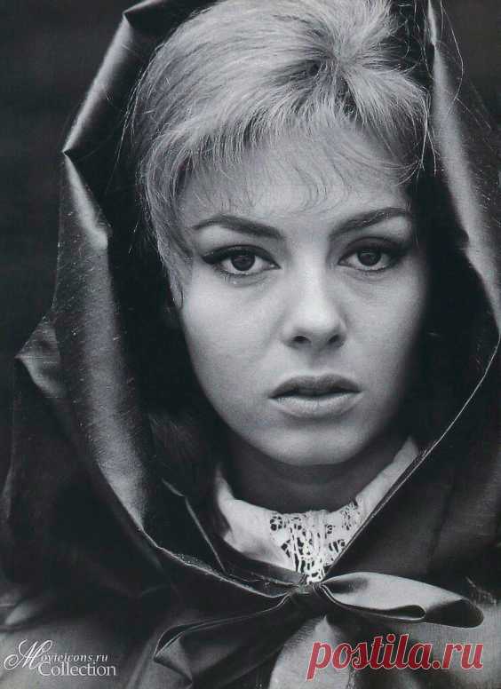 Невероятно красивая женщина, идеал женской красоты и обаяния, смотришь на нее, как на прекрасный цветок и не можешь насмотреться.

Мишель Мерсье по праву входит в десятку самых красивых женщин всех времен и народов. Сколько бы не было прекраснейших девушек в мире, таких как Мишель Мерсье больше не существует. Идеал красоты, несмотря на то, что вкусы меняются, но этот идеал остается на самом высочайшем пьедестале.