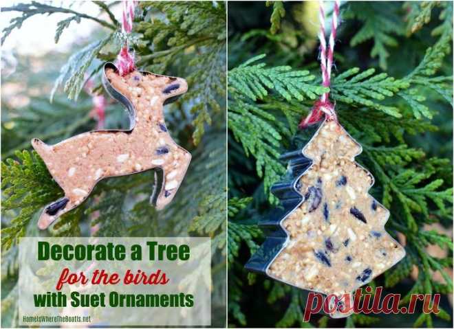 How to Trim a Tree and Feed the Birds With Suet Ornaments | Hometalk