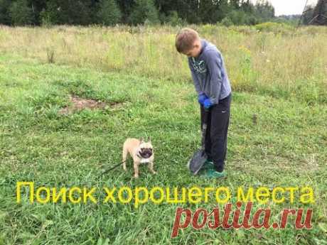 ПЕРВЫЙ ОПЫТ В ПОИСКАХ КЛАДА! ПОИСК МОНЕТ, ЗОЛОТА И СЕРЕБРА! ХОРОШИЕ НАХОДКИ! - YouTube