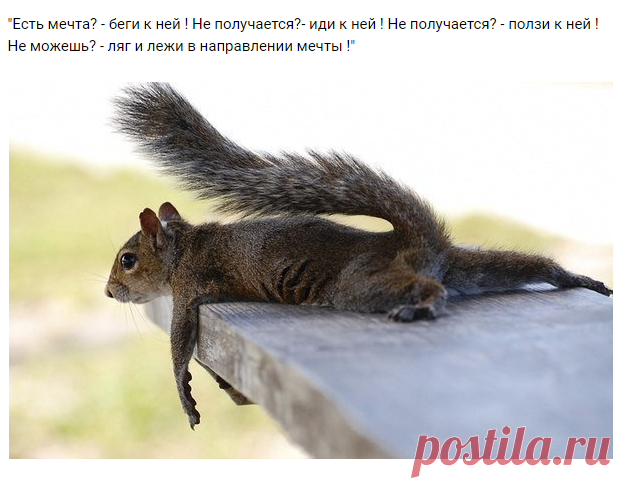 Хорошо сказано. Рукоделие идеи и советы handmade | ВКонтакте