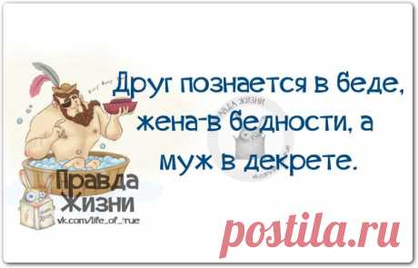 Друг познаётся в беде... 





















