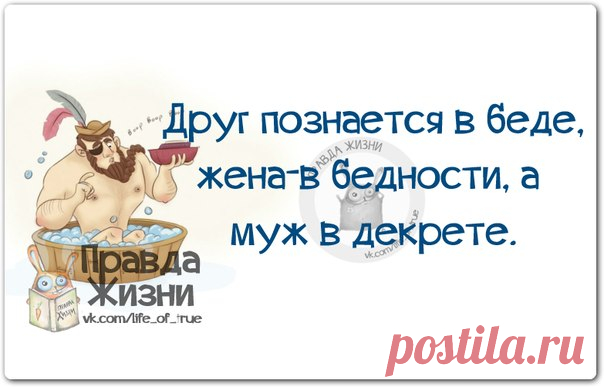 Друг познаётся в беде... 





















