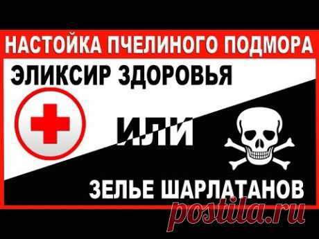 Настойка Пчелиного Подмора - Эликсир Здоровья или Зелье Шарлатанов?