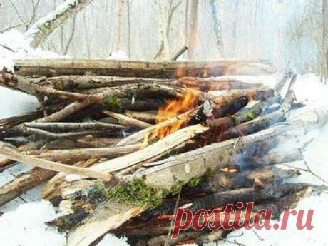 Мои закладки