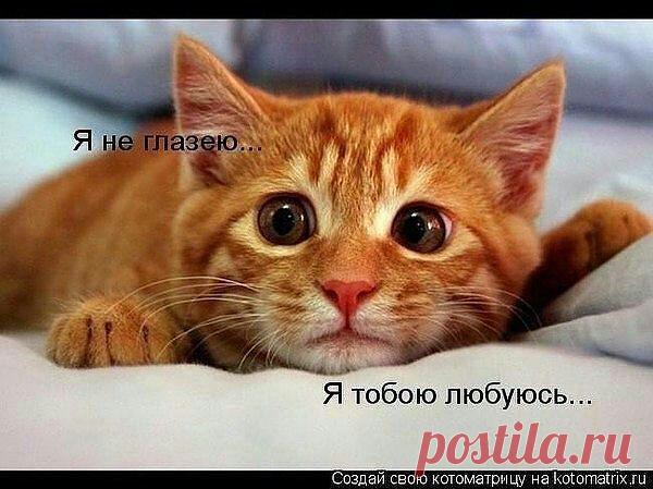 ((((Положительное Настроение))))
Петр Рубашкин