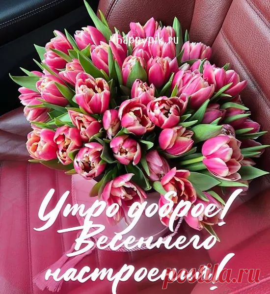 Открытки с весенним утром
Значение весенних открыток

Весенняя тематика в открытках символизирует обновление, пробуждение природы и радость нового сезона. Такие открытки идеально подходят для поздравления с началом весны или просто как знак внимания.