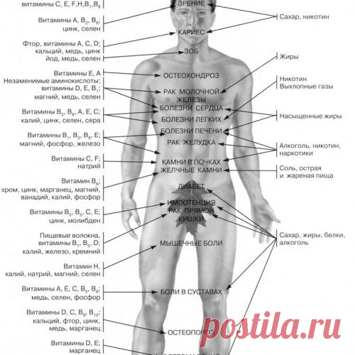 Заболевания, возникающие в связи с недостатком витаминов