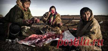 Самые странные блюда со всех уголков РОССИИ.
Посмаковать Испанскую «Паэлья» или Итальянскую «Лазанья» это наверное мечта любого ценителя изысканных блюд. Однако не только за рубежом существуют изощренные деликатесы. В России довольно много блюд которые могут удивить не только иностранцев, а и тех кто прожил в России всю свою жизнь! Посмотрим на экзотику в разных регионах России? Обычный обед. № 1 «Копальхен» Этот […]
Читай дальше на сайте. Жми подробнее ➡