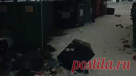 VID-20231101-WA0010