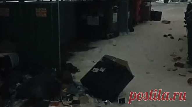 VID-20231101-WA0010
