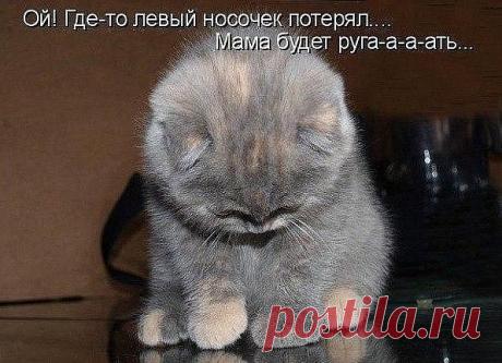 Классная работа в Интернете. Онлайн-доход с официальным трудоустройством, соц.пакет. Мне нравится. Работаю 3-4 часа в день в удобное для себя время. А Вы так хотите?https://dengiestvrukax.blogspot.ru/