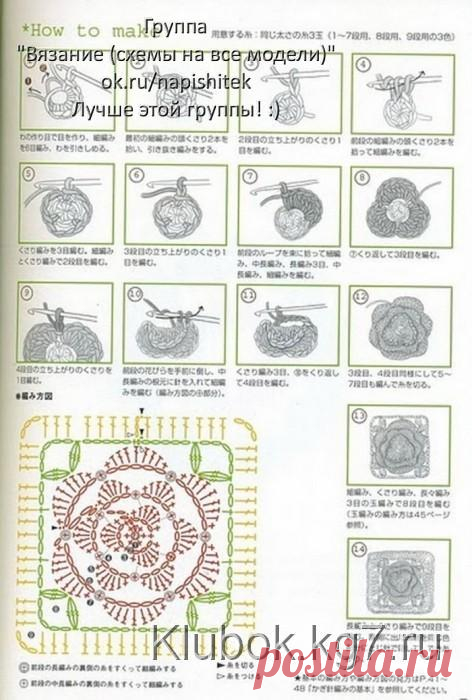 РОЗА В ЛИСТЬЯХ