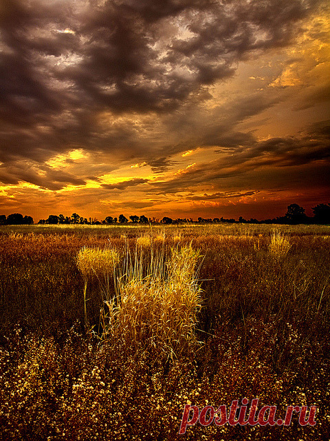 coiour-my-world:
“ Continuance by Phil~Koch on Flickr.
”