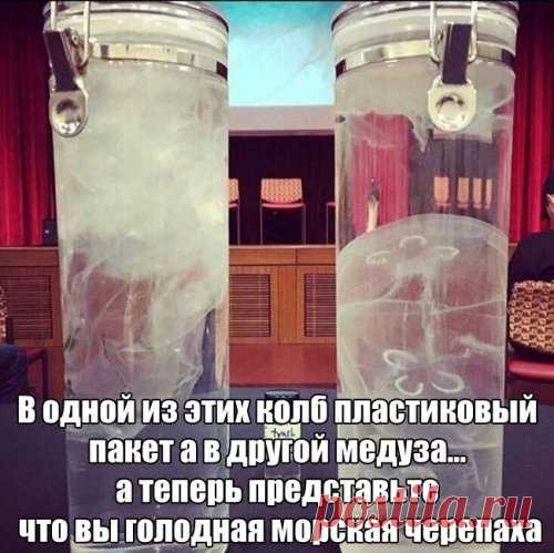 Прикольные картинки скрасят пятницу (40 шт) | Чёрт побери Порция позитива в прикольных картинках и фото для тех, кто вышел на работу :) Экстренная Чёрт поберишная помощь!