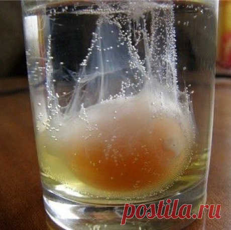 СОВЕТЫ ДЛЯ ДОМА 🧺🛁 в Instagram: «Снятие негатива с человека и лечения несложных болезней сырым яйцом. ⠀⠀⠀⠀⠀⠀⠀⠀⠀ Перед сном: В стакан, наполовину наполненный водой , вбить…»